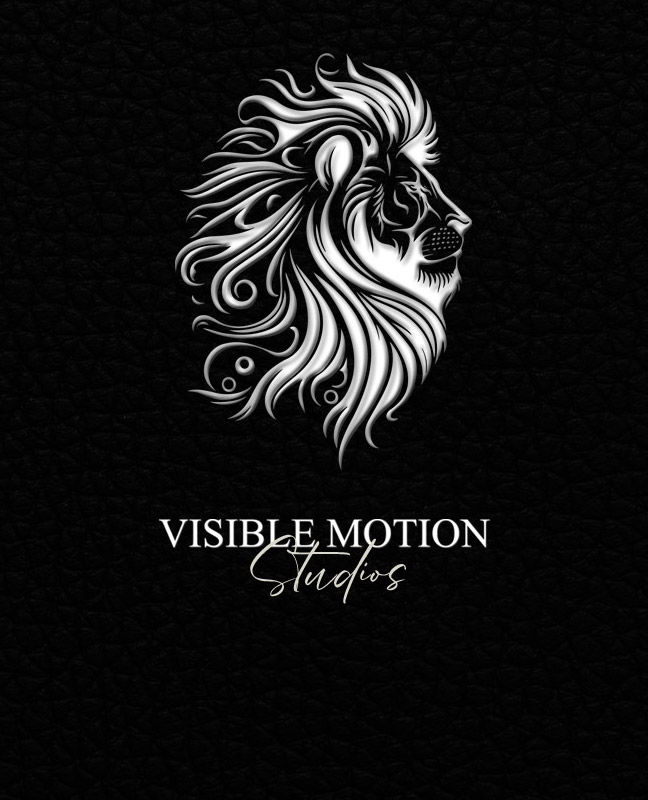 Visible Motion Marketing Agency