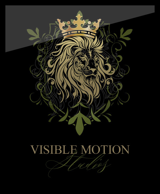 Visible Motion Article on Handshake Domain Names